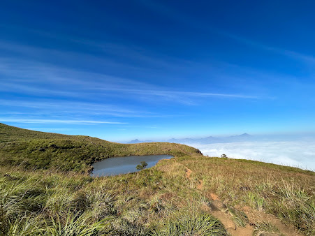 Chembra Peak Trek - Image 1