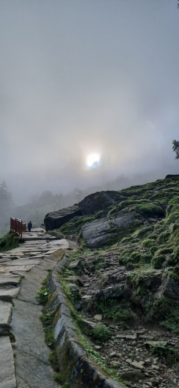 Chopta Tungnath Trek - Image 5