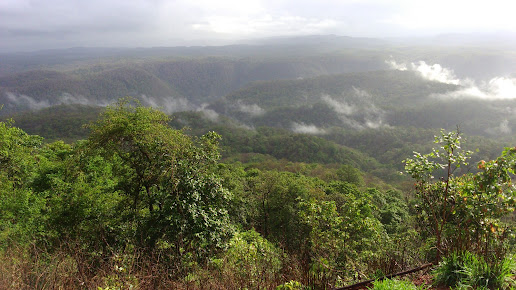 Dandeli Trip - Image 2
