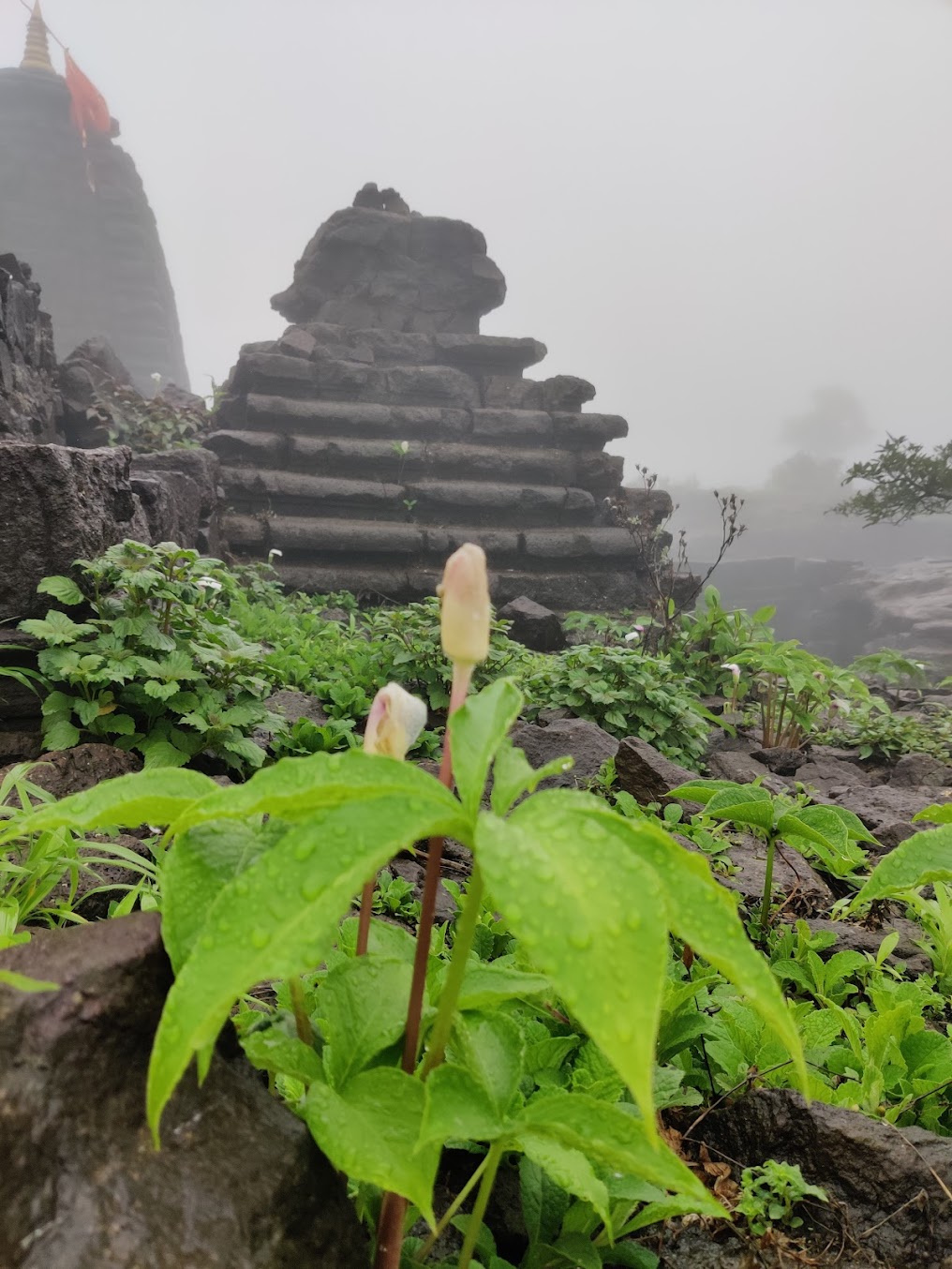 Harishchandragad Trek - Image 4