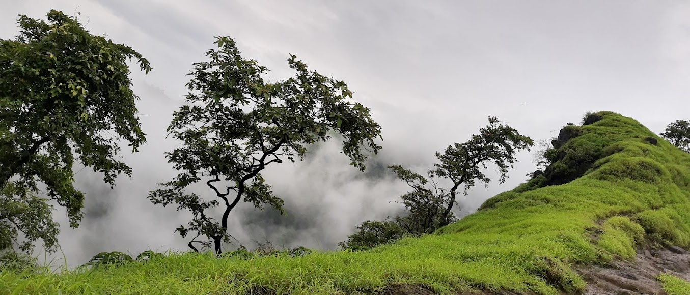 Irshalgad Trek - Image 6