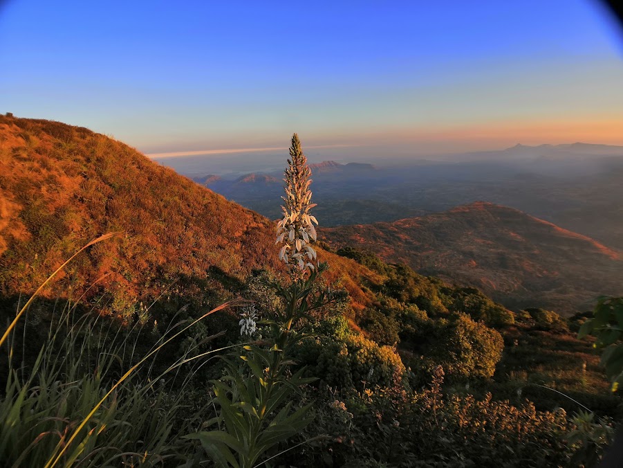 Kalsubai Trek - Image 3