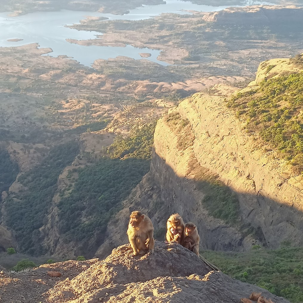 Kalsubai Trek - Image 4