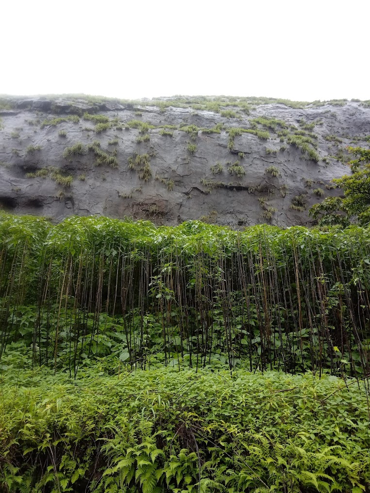 Kataldhar Waterfall Trek - Image 5