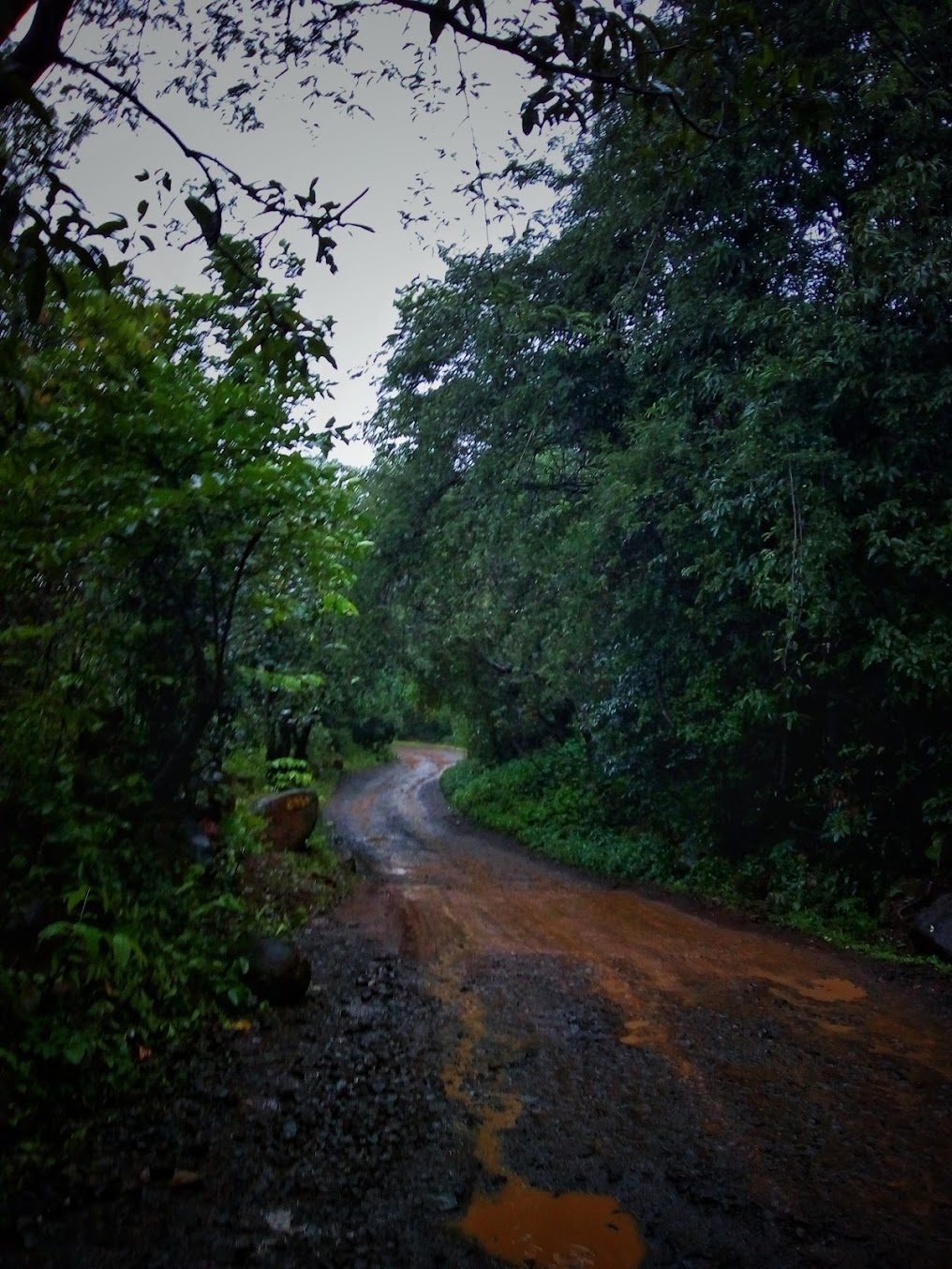 Kataldhar Waterfall Trek - Image 6