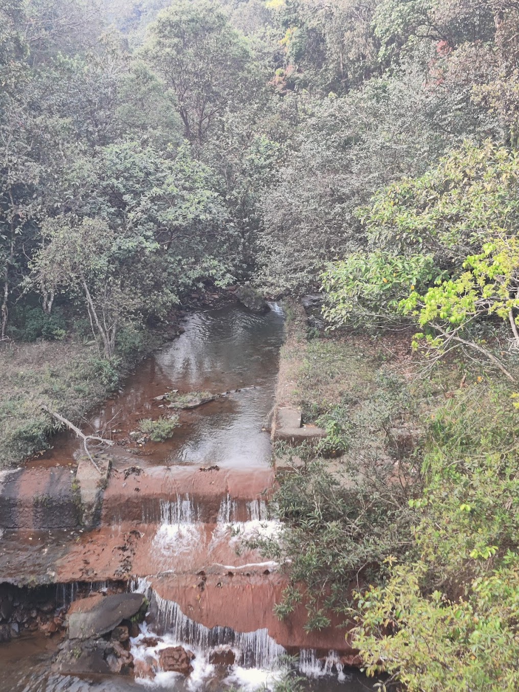 Kudremukh Trek - Image 3