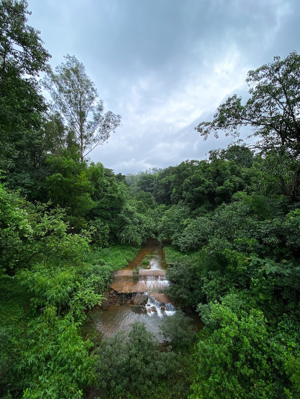 Kudremukh Trek - Image 4