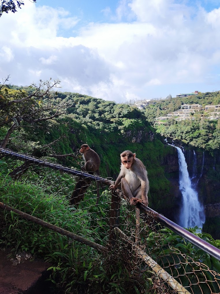 Mahabaleshwar Trip - Image 5
