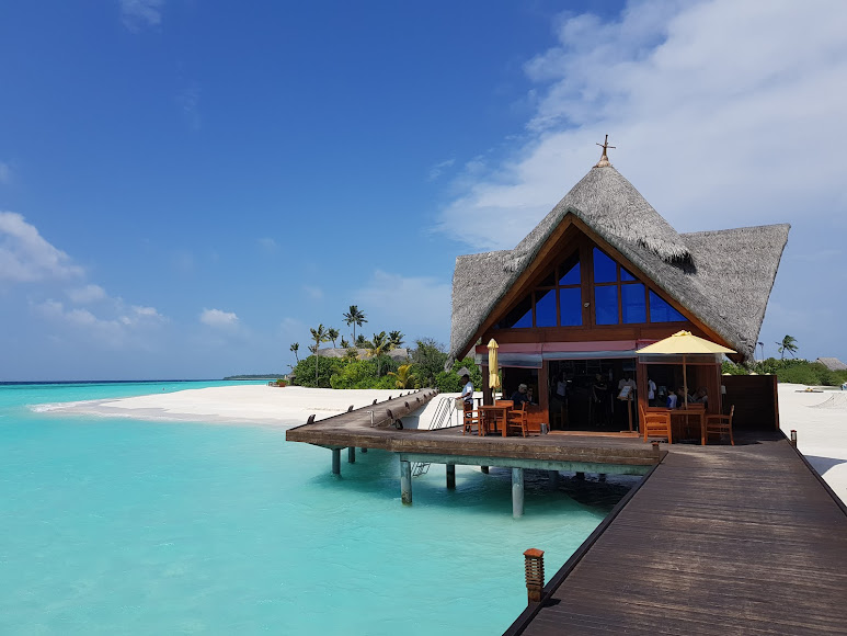 Maldives Trip - Image 4