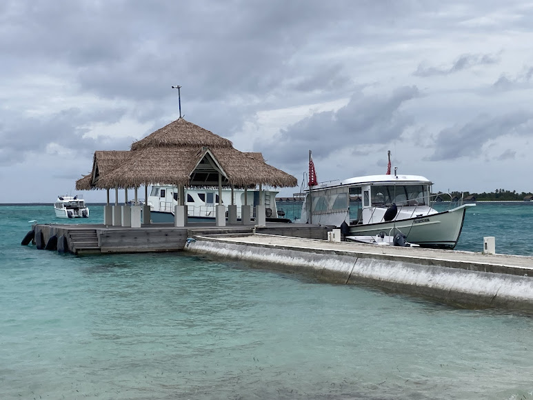 Maldives Trip - Image 6