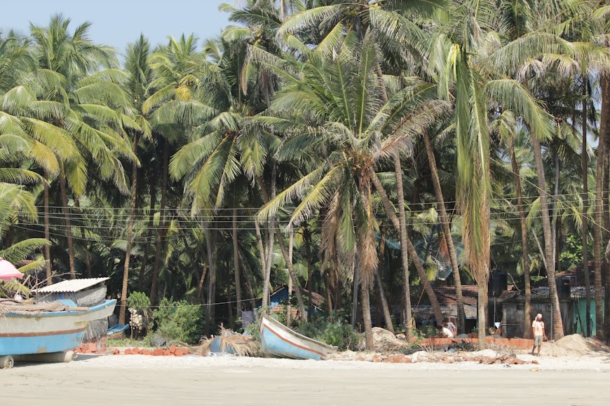 Malvan Tarkarli Trip - Image 3