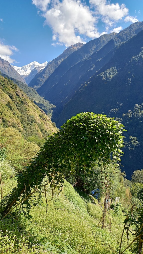 Nepal Trip - Image 6