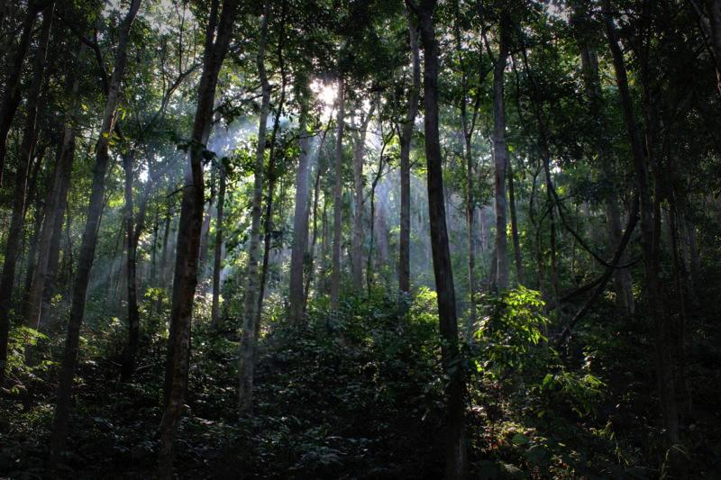 Papikondalu Trek - Image 5