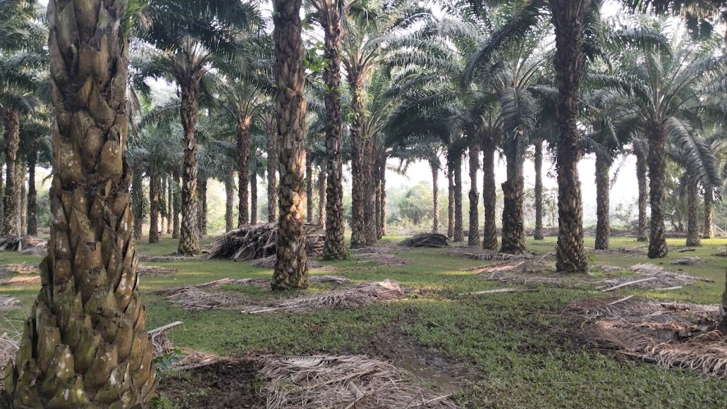 Papikondalu Trek - Image 6