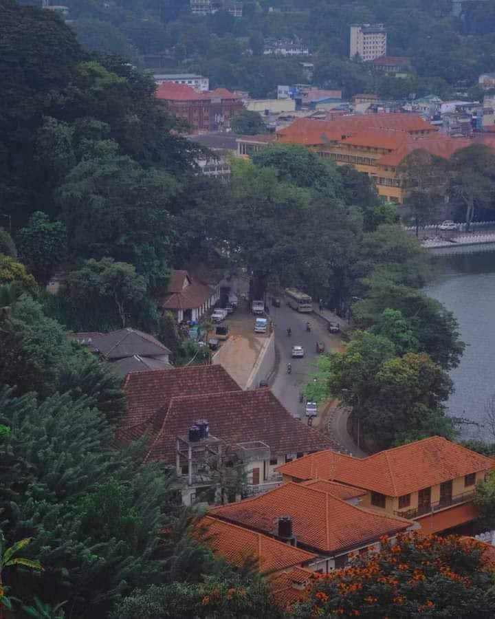 Sri Lanka Trip - Image 3