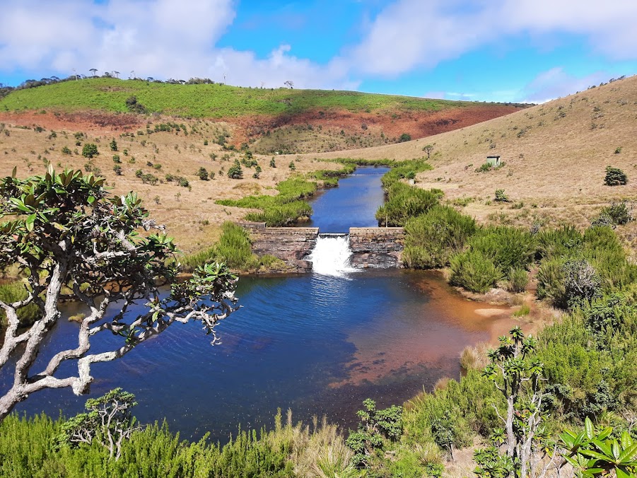 Sri Lanka Trip - Image 4