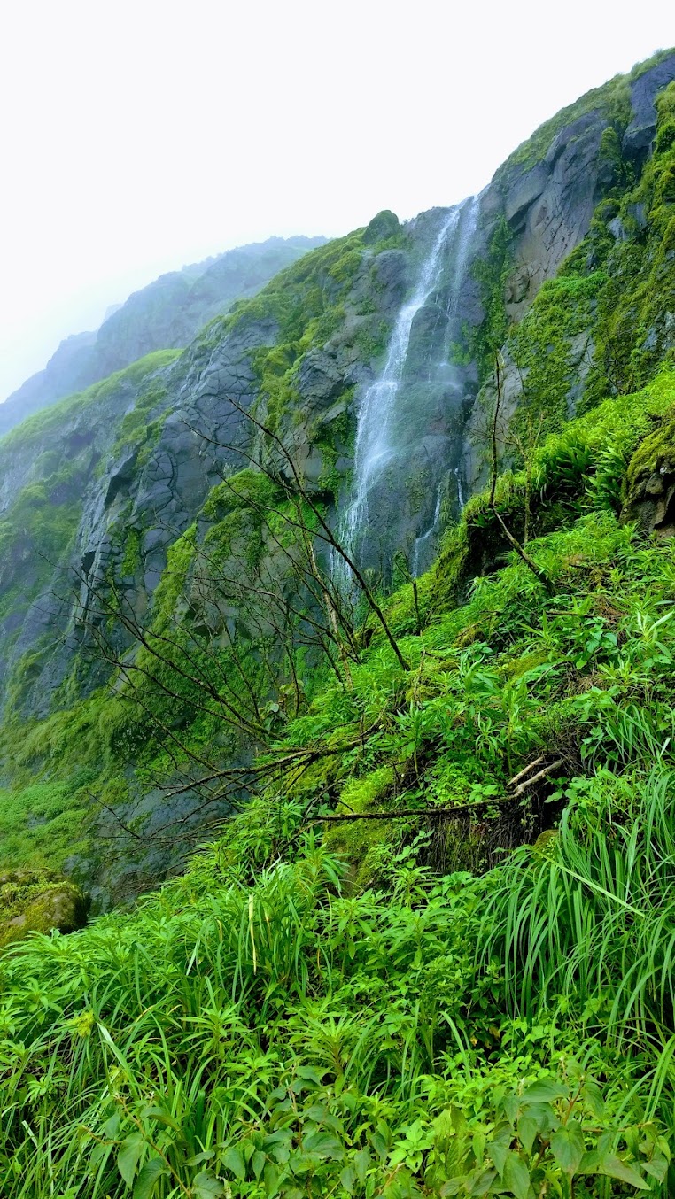 Torna Fort Trek - Image 5