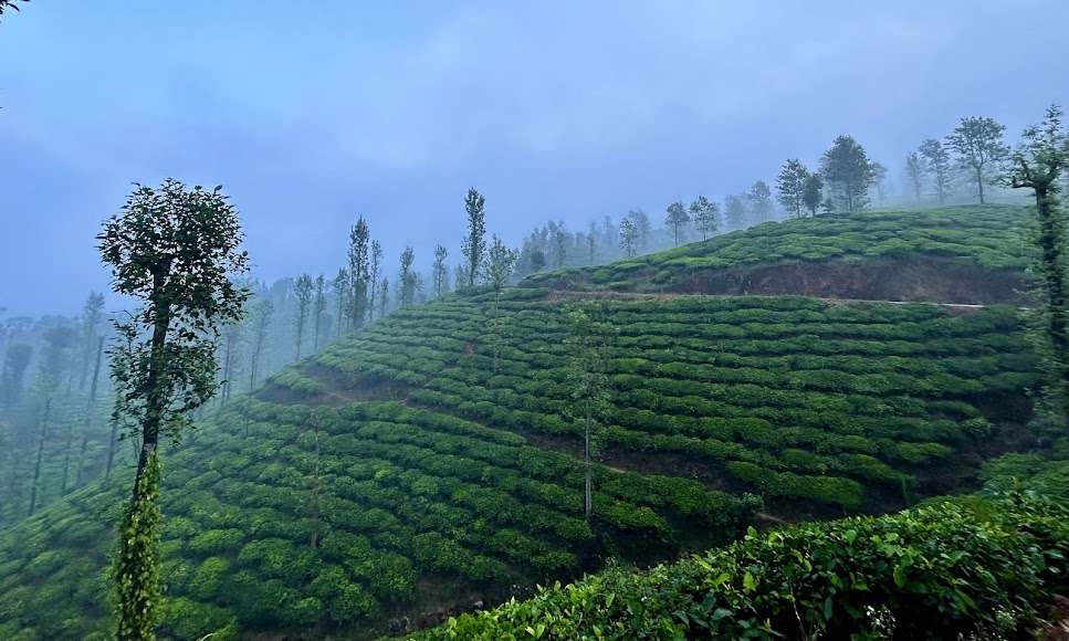 Wayanad Trip - Image 2
