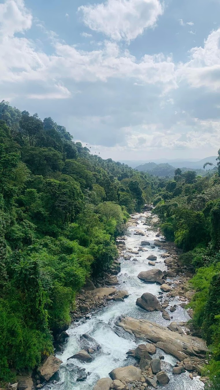 Wayanad Trip - Image 4