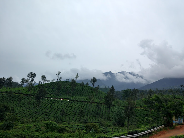 Wayanad Trip - Image 1