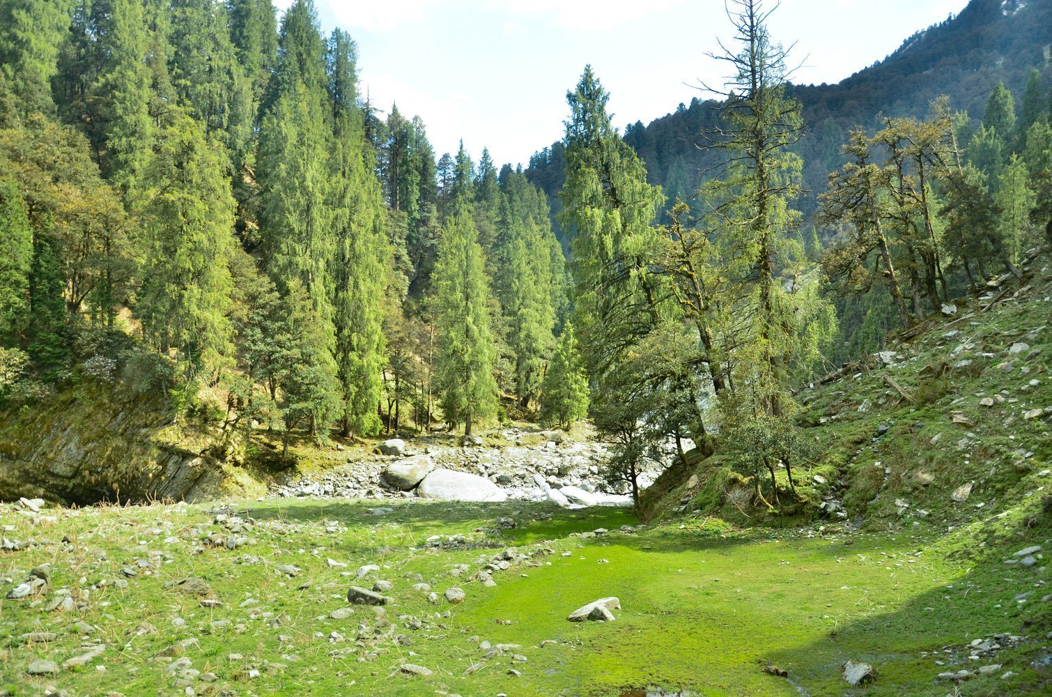 Thamsar Pass Trek - Image 4