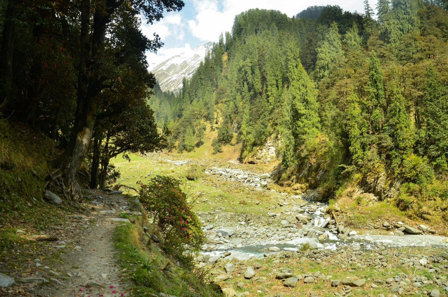 Thamsar Pass Trek - Image 3