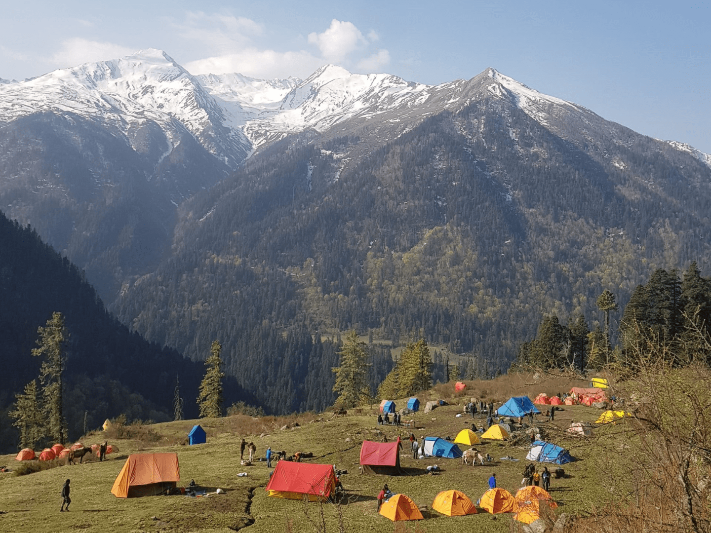Bali Pass Trek - Image 4