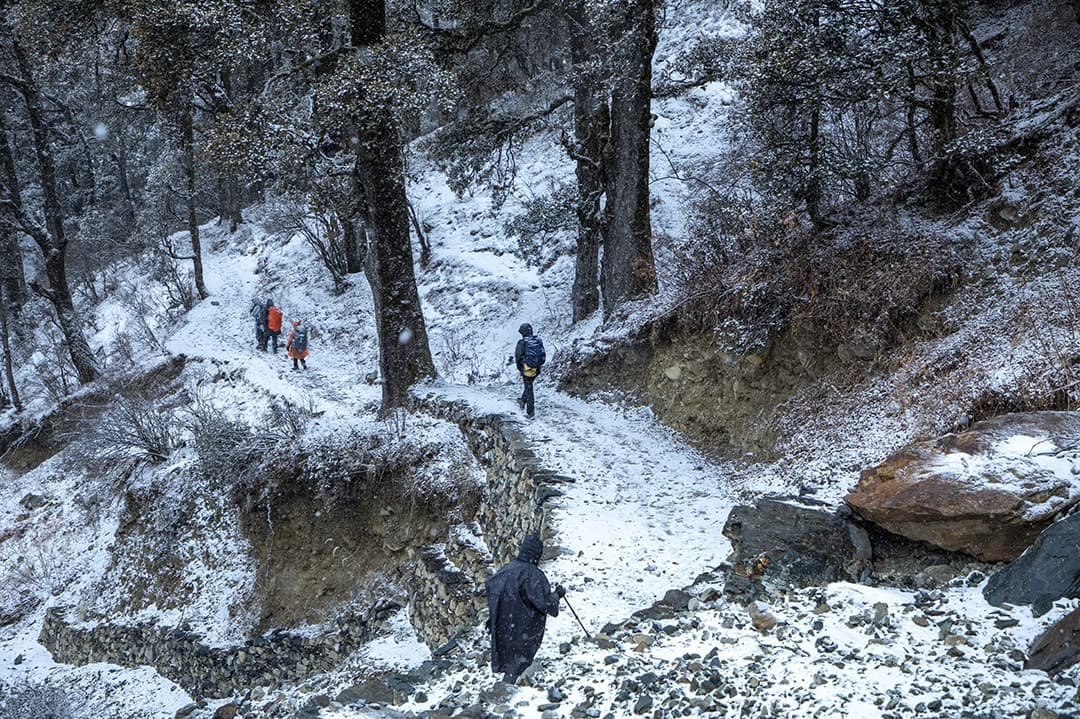 Dayara Bugyal Trek - Image 5