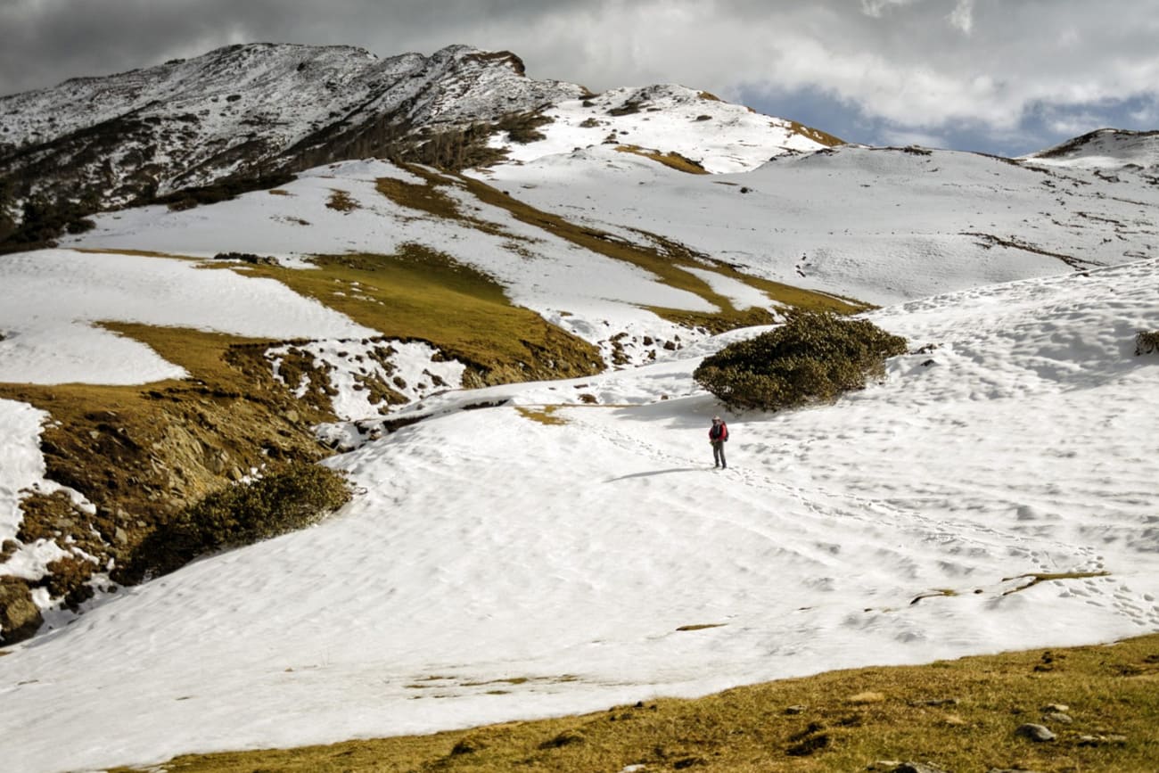 Phulara Ridge Trek - Image 5