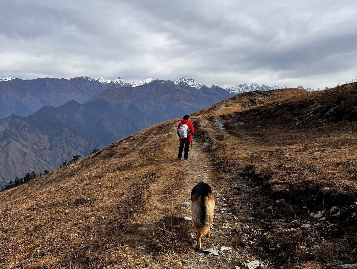 Phulara Ridge Trek - Image 1
